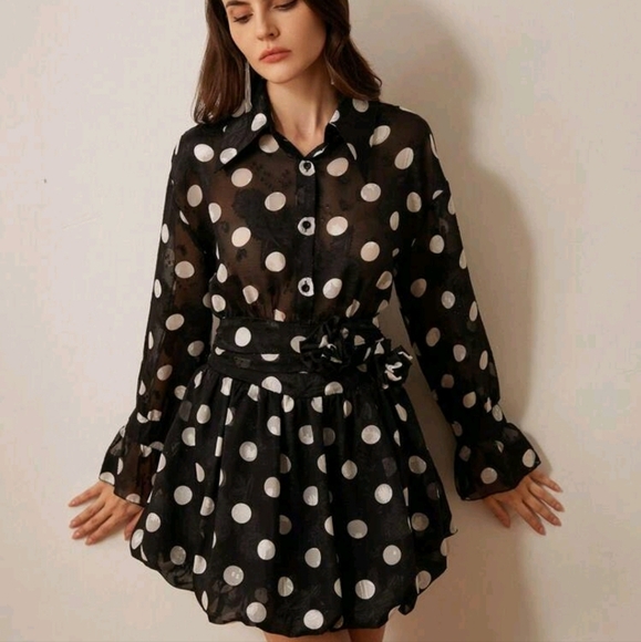 French Elegant Romantic Sheer Chiffon Polka Dot Turn Down Collar Waist Dress - Picture 2 of 4